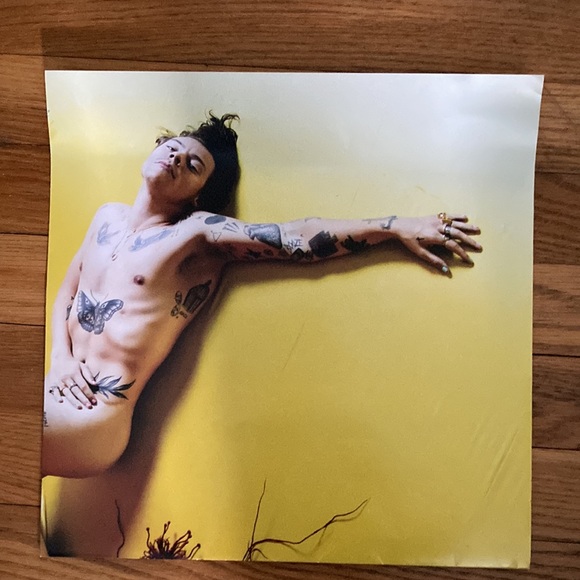 Album posters Harry Styles Fine Line and Sam Hunt Southside - Picture 3 of 5